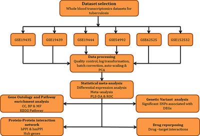 Meta-analysis of active tuberculosis gene expression ascertains host directed drug targets